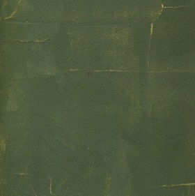 Metallic Slated Tinted Green, Trowel Applied Lifestyle Finishes Metallic Slate Texture, tinted