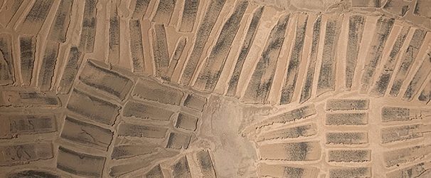 Decorative Finish: Terra Firma
