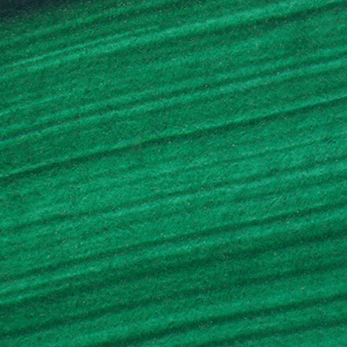 Hooker's Green Dark (16oz Fluid Acrylic)