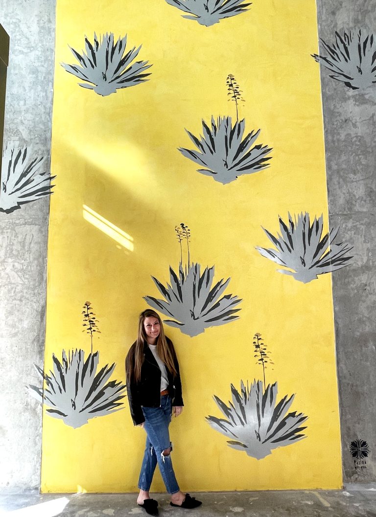 Agave Pattern