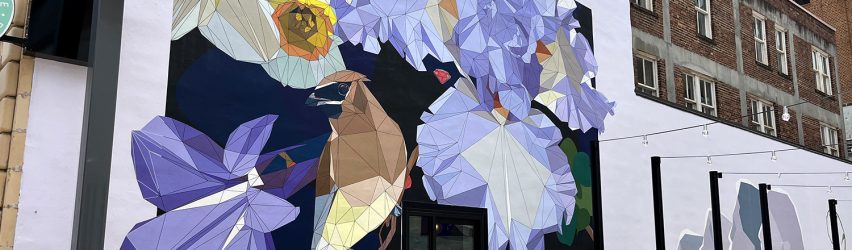 Mural Makers: Anón