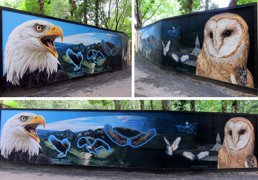 A 40’x8’ mural painted for the Philadelphia Zoo’s new Bald Eagle and Barn Owl exhibition. This was painted in the studio on Polytab cloth and adhered to the wall with Golden Mural Adhesive Gel.